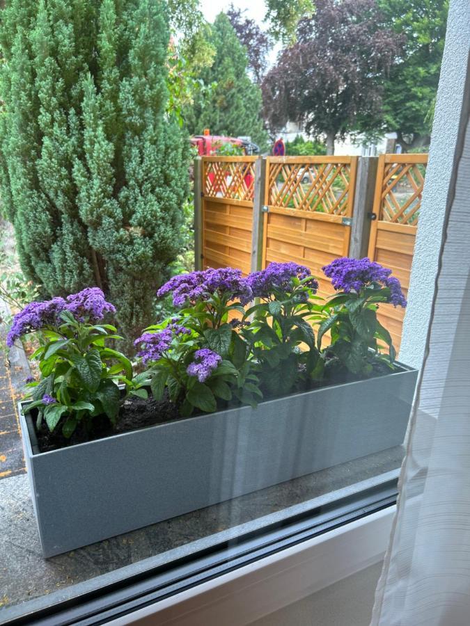Fewo By Hd Mit Parkplatz, Wallbox, Wintergarten Bad Salzuflen Bagian luar foto